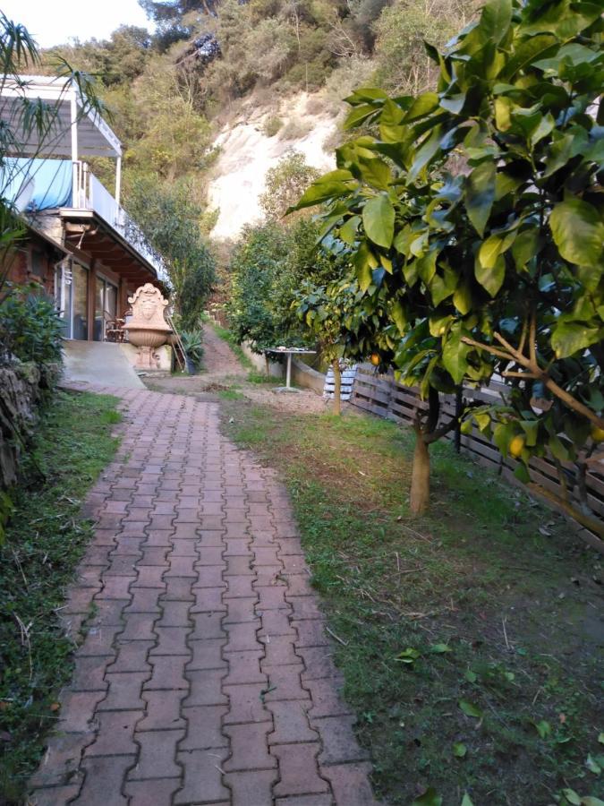 Oasis Villa Menton Eksteriør billede