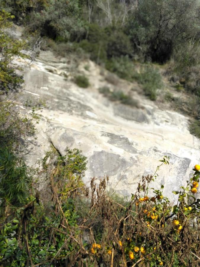 Oasis Villa Menton Eksteriør billede